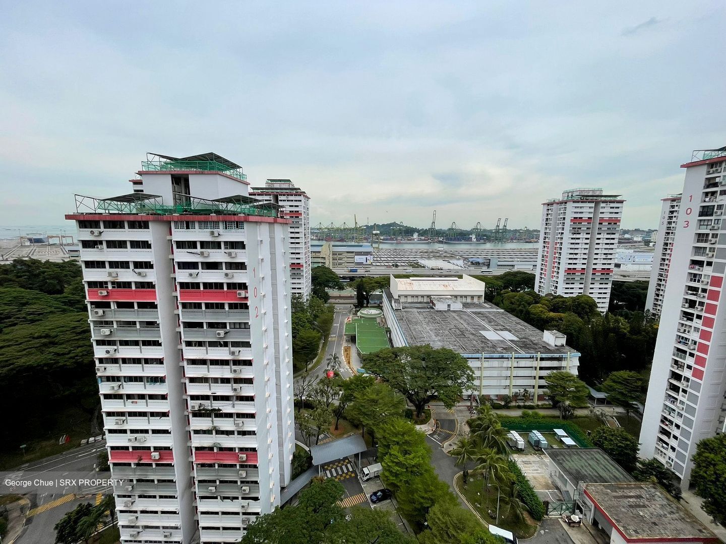 Blk 101 Spottiswoode Park (Bukit Merah), HDB 4 Rooms #500876951